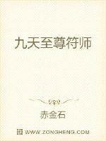 九天至尊符师免费阅读全文