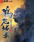 龙城御小说免费阅读