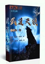 武道天狼小说下载