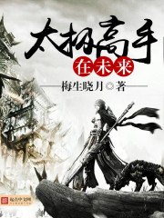 当代太极高手