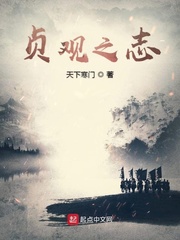 贞观第一婿免费阅读