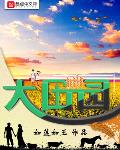 田园泡小说TXT下载