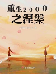 重生2000 小说 免费