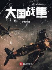 类似大国战隼类似的空军小说推荐