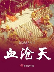 血髓传小说