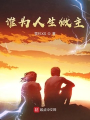 谁为人生做主txt小说免费阅读全文