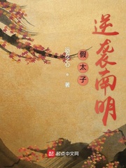 假太子逆袭南明小说全集免费观看