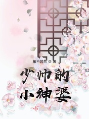 少帅的小野猫全文免费阅读