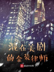 混在美剧的金装律师 起点