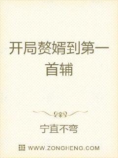 宁直不弯小说作者是谁