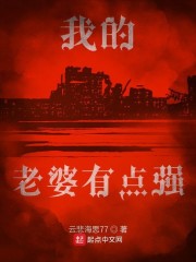 我的老婆有点多小说