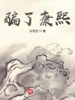 冒充康熙的小说