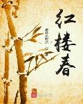红楼外传