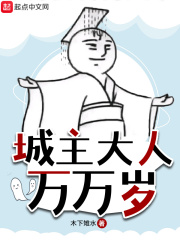 城主大人小说