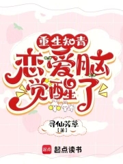 重生知青生活小说