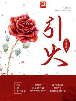 引火上身小说免费阅读