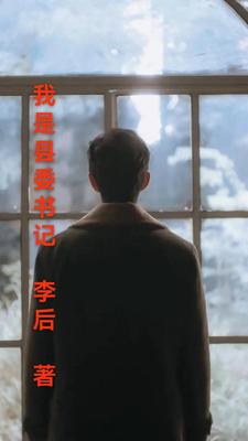 我是县委书记小说全文免费阅读