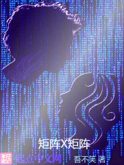 末日矩阵小说全文免费阅读下载