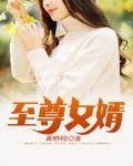 至尊女婿小说全文免费阅读无弹窗