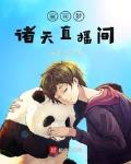 宝可梦小说无系统