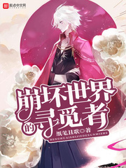 崩坏世界的寻觅者小说阅读免费下载